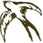 VP_Bird-4_Left_Top_150